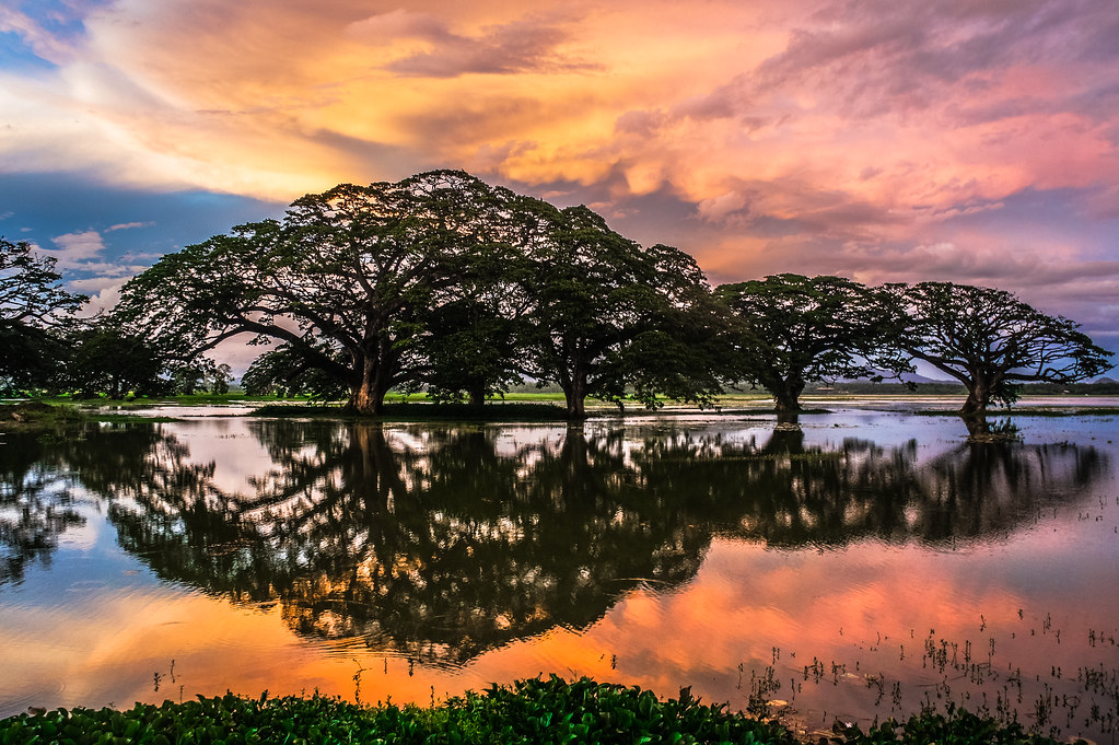 Kataragama - Image 4